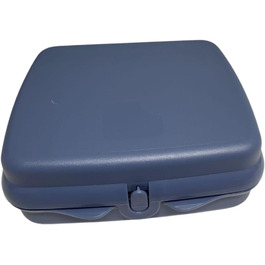 Сендвіч-бокс Tupperware to Go бірюзовий 38001 (синій)