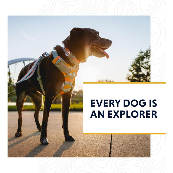 RUFFWEAR Front-Leine – легкий повідок для собак 1,5 м, міцний з м'якою ручкою, надійний обертовий Crux-Clip, плоска стропа Tubelok, синій колір, універсальний розмір