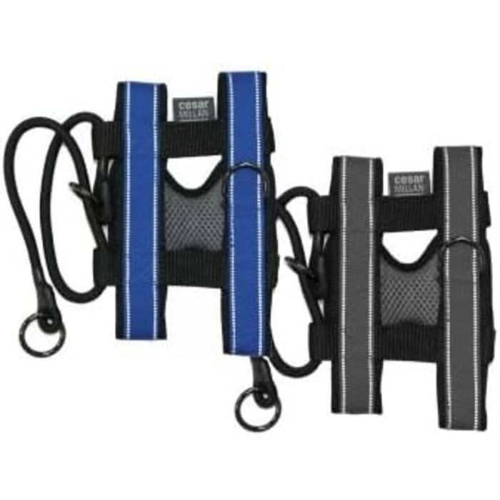 Нашийник для дресирування собак Pack Leader Collar™ від Сезара Міллана, сірий, розмір L, середній