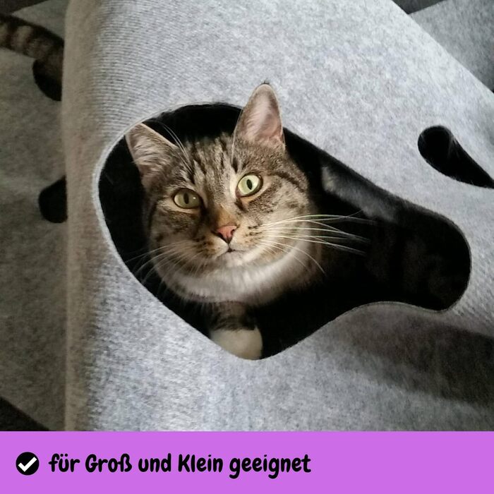 Інтерактивний килим-тунель для котів CatMountain®, іграшка для кошенят та дорослих котів