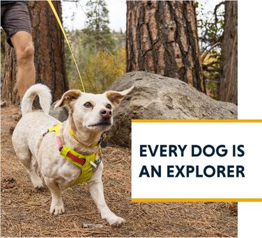 Повідок для собак RUFFWEAR Hi & Light, міцний, з кишенею, Crux-Clip, компактний, рожевий Alpenglow