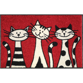 Килимок wash+dry для підлоги Three Cats 50x75 см, для дому та вулиці, праний