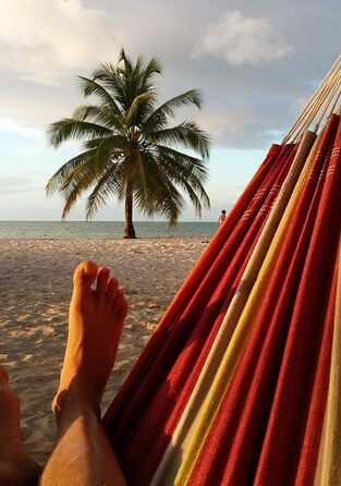 Гамак AMAZONAS Barbados XL, ручна робота, Бразилія, до 200 кг, 230x150 см, для 1-2 осіб, різнокольоровий, довжина 340 см (Acerola)