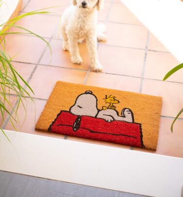 Килимок для взуття Grupo Erik Peanuts Snoopy 40x60 см, грязезахисний