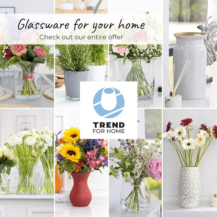 Велика скляна ваза-циліндр 29 см TREND FOR HOME для декору, прозора, для гілок, пасхи, pampas, Ø 15,8 см, 4900 мл, Magnolia