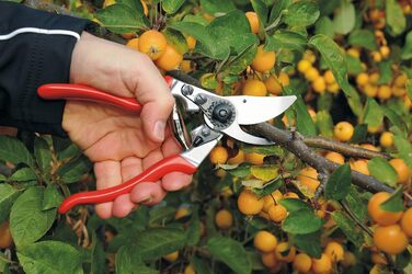 Секатор FELCO 9 для лівші, діаметр зрізу 25 мм, 210 мм, алюмінієві ручки, ергономічний, з амортизатором, садові ножиці для винограду