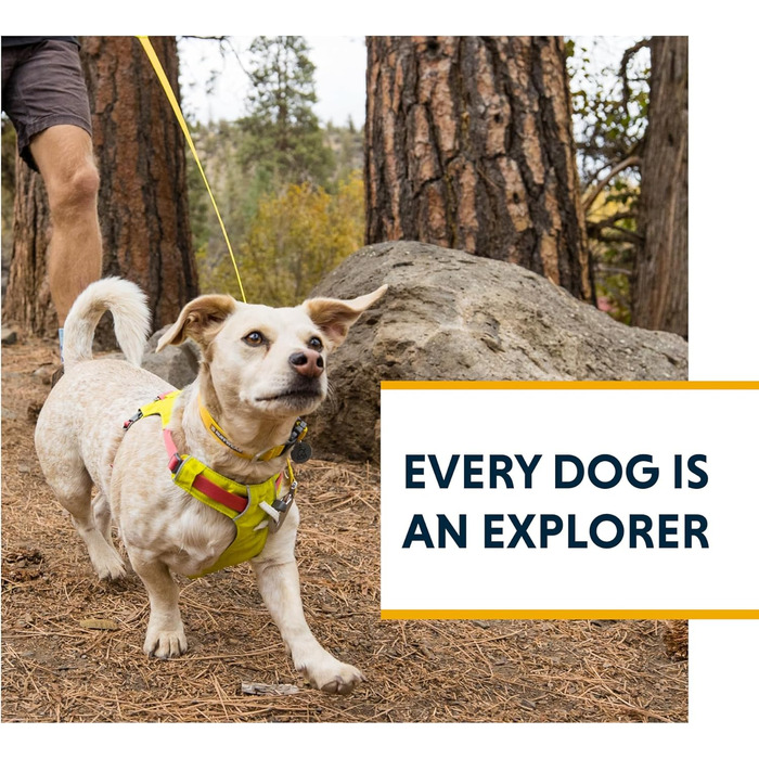 Повідок для собак RUFFWEAR Hi & Light, міцний, з кишенею, Crux-Clip, компактний, рожевий Alpenglow