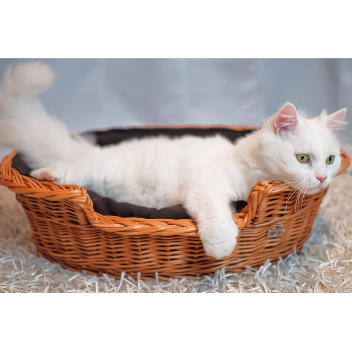 Плетений кошик для собак і котів з подушкою, 60x43x19 см, з лози, лежак для тварин