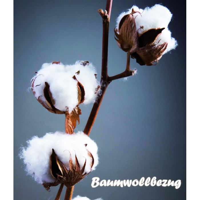 Наматрацник Badenia Bettcomfort Clean Cotton, 90x200 см, білий, сертифікат OEKO-TEX, німецька якість, бавовна