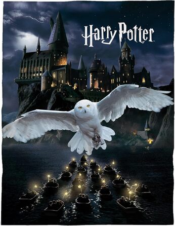 М'який плед Harry Potter з флісу 150x200 см, чорний, з Хогвартсом і совою – ковдра для дивана, покривало