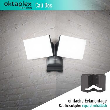 Світильник для вулиці Oktaplex Cali Dos, поворотний, LED, 40 Вт, 3000K, IP65, антрацит, настінний прожектор