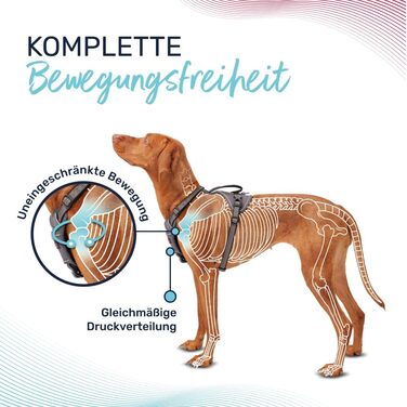 Шлея для собак HALTI Anatomy з ручкою, нейлонова, регульована, з неопреною підкладкою, 3 точки кріплення повідка, відбивачі, синьо-зелена, розмір L