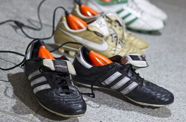 Сушарка для взуття ALPENHEAT Circulation UV 230V, помаранчева, універсальний розмір