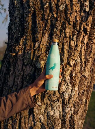 Термос-пляшка SIGG Meridian 0,5 л, нержавіюча сталь, герметична, подвійні стінки, бамбукова кришка, без BPA, для води, Sumatra Birds