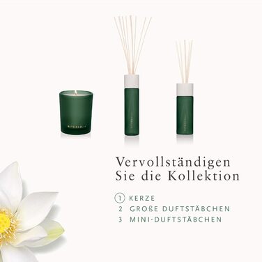 Ароматична свічка Rituals The Ritual Of Jing, 290 г