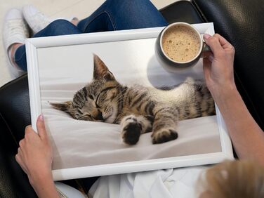 Лаптопний столик-піднос з подушкою Creative Tops Kitten, 44x34 см, мультиколор, м'який наповнювач