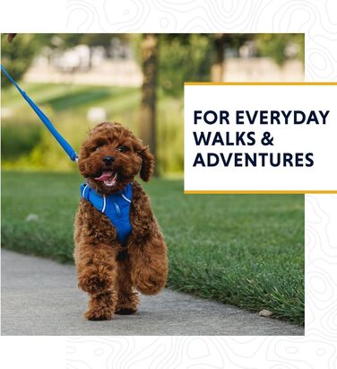 Повідок для собак RUFFWEAR Front-Leine 1,5 м, легкий, міцний, з м’якою ручкою та обертальним карабіном, плоский ремінь Tubelok, Moonlight Fade