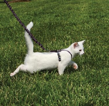 Шлейка з еластичним повідцем PetSafe Come with Me Kitty для котів, розмір M, червоно-клюквений