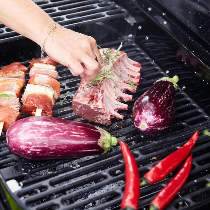Вугільний гриль Barbecook Loewy 45 Magnus Premium, з вітрозахистом, для 6 осіб, чорний, 43x43x97 см