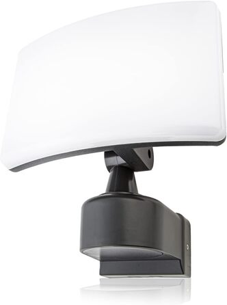 Світлодіодний прожектор HUBER 30Вт 3300лм для вулиці, IP65, білий, настінний монтаж