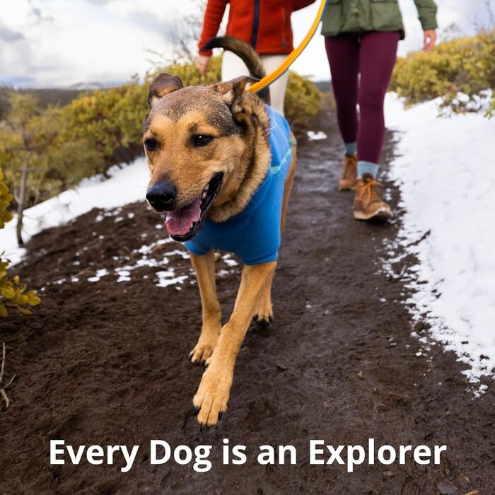Повідок-амортизатор Ruffwear Roamer для бігу, їзди на велосипеді чи прогулянок, ручний або безрукий, жовтий, довжина 2,2-3,4 м