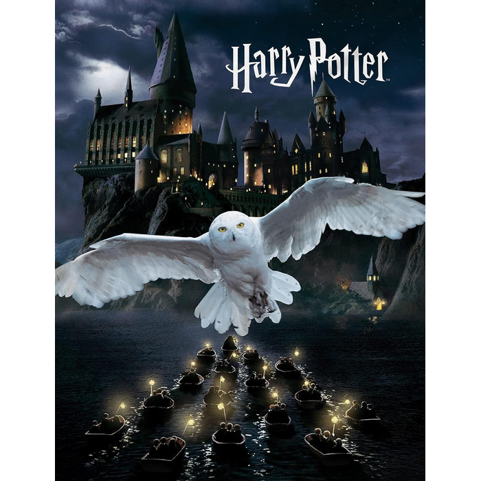 М'який плед Harry Potter з флісу 150x200 см, чорний, з Хогвартсом і совою – ковдра для дивана, покривало
