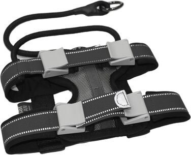 Нашийник для дресирування собак Pack Leader Collar™ від Сезара Міллана, середній, сірий