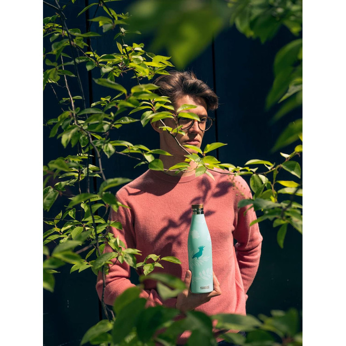 Термос-пляшка SIGG Meridian 0,5 л, нержавіюча сталь, герметична, подвійні стінки, бамбукова кришка, без BPA, для води, Sumatra Birds
