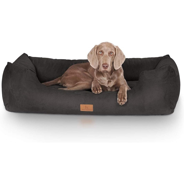 Ліжко для собак Knuffelwuff Dreamline з велюру XXL, 155x105x30 см, чорне, знімний чохол, легке в догляді, для великих, середніх та малих собак