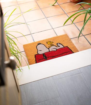 Килимок для взуття Grupo Erik Peanuts Snoopy 40x60 см, грязезахисний