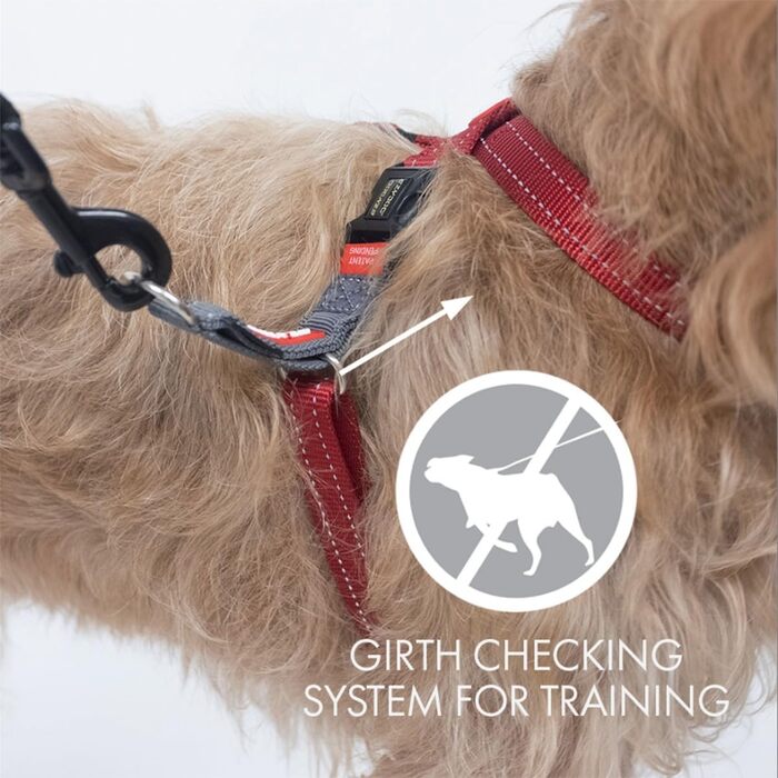 EzyDog анти-натяг шлейка для собак Crosscheck, регульована, відбивна, для малих, середніх і великих порід, XS, червона