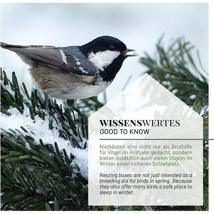 Дерев'яний будиночок для птахів WILDLIFE HOME Amsel, напіввідкритий, масивне дерево, для дроздів, малинівок, напівпечерних птахів, нефарбований, для підвішування, стійкий до погодних умов