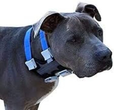 Нашийник для дресирування собак Pack Leader Collar™ від Сезара Міллана, середній, сірий
