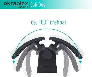 Світильник для вулиці Oktaplex Cali Dos, поворотний, LED, 40 Вт, 3000K, IP65, антрацит, настінний прожектор
