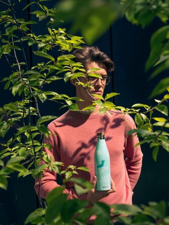Термос-пляшка SIGG Meridian 0,5 л, нержавіюча сталь, герметична, подвійні стінки, бамбукова кришка, без BPA, для води, Sumatra Birds