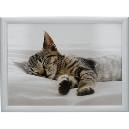 Лаптопний столик-піднос з подушкою Creative Tops Kitten, 44x34 см, мультиколор, м'який наповнювач