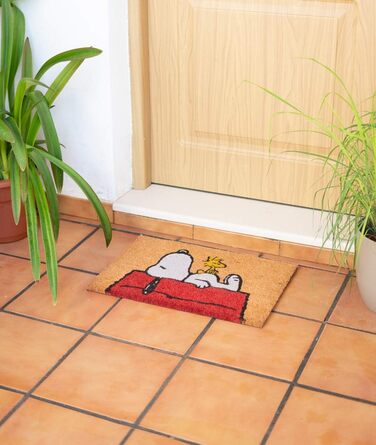 Килимок для взуття Grupo Erik Peanuts Snoopy 40x60 см, грязезахисний