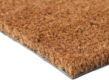 Преміум кокосовий килимок Coco&Coir Everything in a nutshell 45x75 см, з ПВХ, нековзкий, для входу, для дому та вулиці, для котів