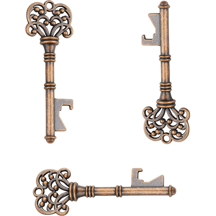 Набір відкривачок для пляшок Makhry 50 шт. Skeleton Key срібло
