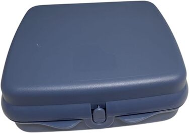 Сендвіч-бокс Tupperware to Go бірюзовий 38001 (синій)