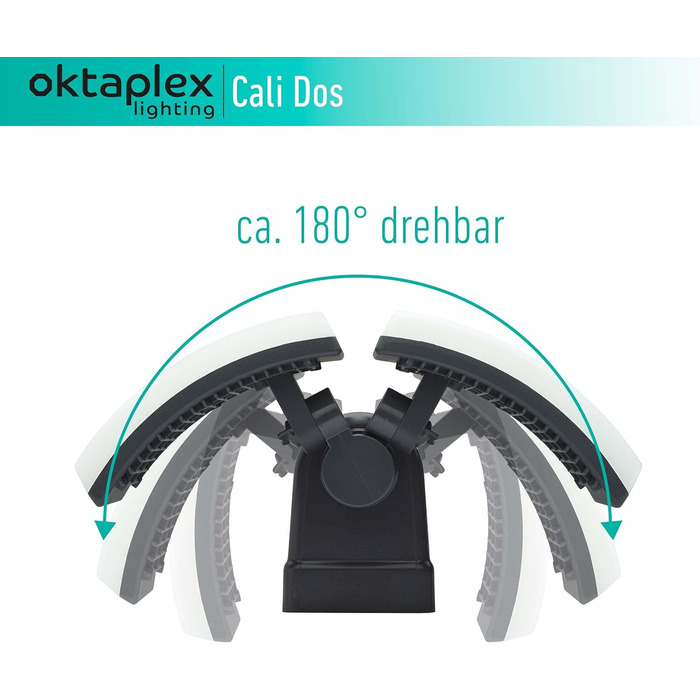 Світильник для вулиці Oktaplex Cali Dos, поворотний, LED, 40 Вт, 3000K, IP65, антрацит, настінний прожектор