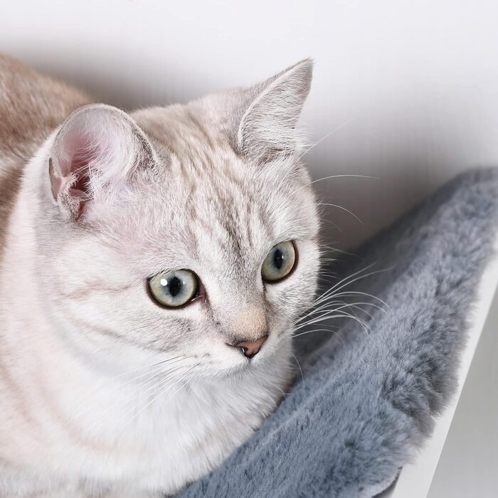 Настінне ліжко для котів PawHut, полиця з МДФ, плюшева накладка, біло-сіре, для стіни
