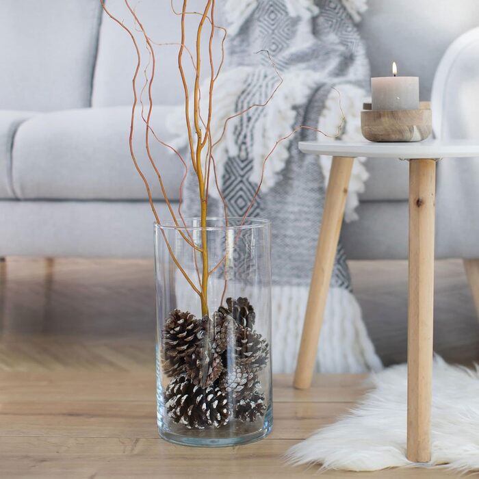 Велика скляна ваза-циліндр 29 см TREND FOR HOME для декору, прозора, для гілок, пасхи, pampas, Ø 15,8 см, 4900 мл, Magnolia