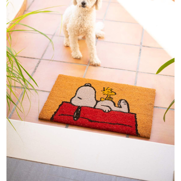 Килимок для взуття Grupo Erik Peanuts Snoopy 40x60 см, грязезахисний