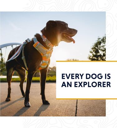 Повідок для собак RUFFWEAR Front-Leine 1,5 м, міцний, з м'якою ручкою та обертовим карабіном, сірий базальтовий колір