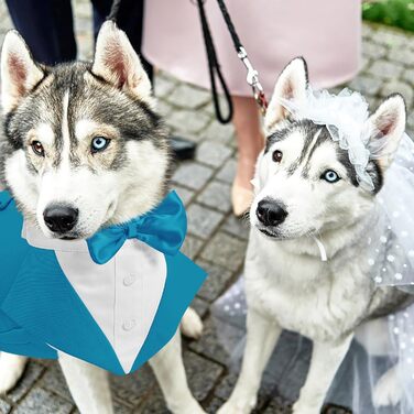Костюм для собаки з метеликом і банданою AOFITEE, весільний та святковий костюм для собак середнього розміру, знімний метелик, бірюзовий