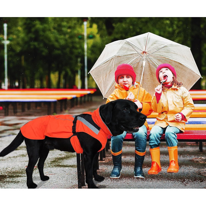 Дощовик для собак Lautus Pets, водонепроникний, з відбивачами, зі світлим дизайном і отвором для шлеї, помаранчевий, розмір 2XL