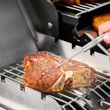 Кухонний термометр RÖSLE Gourmet, цифровий, з підсвічуванням, діапазон -40°C до +200°C, нержавіюча сталь 18/10, 21,5 см, сріблястий