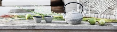 Чайник Bredemeijer Asia 1.1 л, чавунний, з фільтром з нержавіючої сталі, чорний