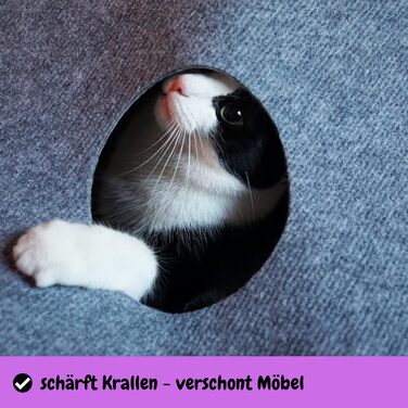 Інтерактивний килим-тунель для котів CatMountain®, іграшка для кошенят та дорослих котів